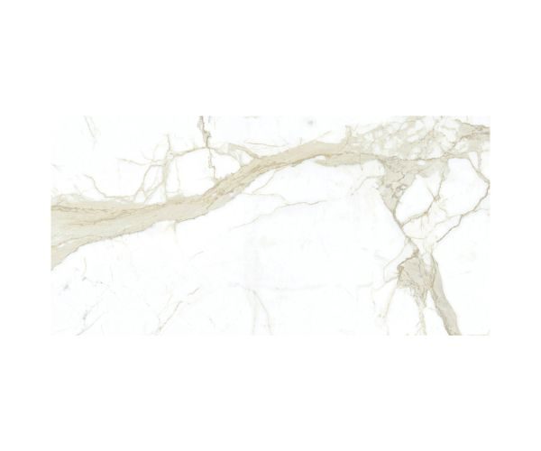 White Calacatta Porcelain — full-slab view