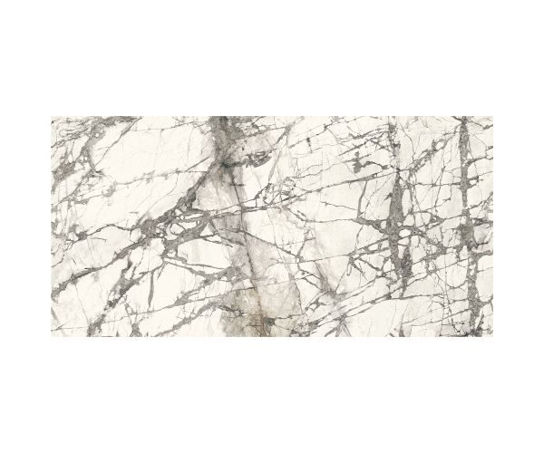Calacatta Grey Porcelain — full-slab view